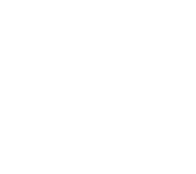 Tasmanian Goverment Logo